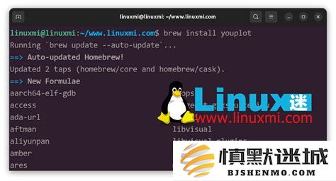 在Linux系统中如何在指定目录内新建文件的详细教程