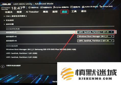 如果U盘启动后无法成功进入PE系统，该如何进行故障排查和解决方案