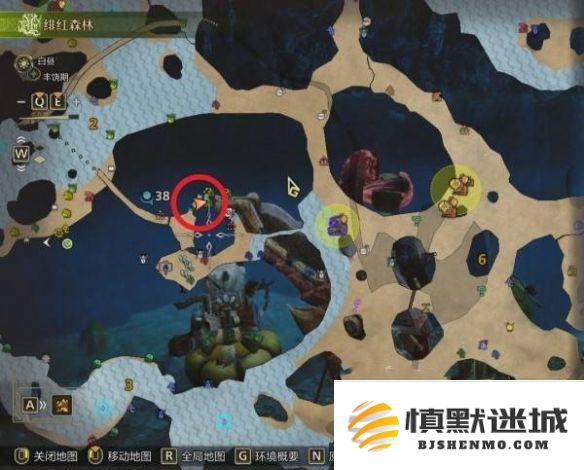 怪物猎人荒野中金鱼的具体位置和捕捉方法指南