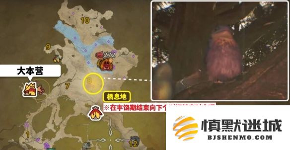 怪物猎人荒野中美声歌鸮具体位置和捕捉技巧分享