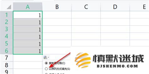 如何在Excel中处理和整理数字序列123456以达到特定的数据分析目的