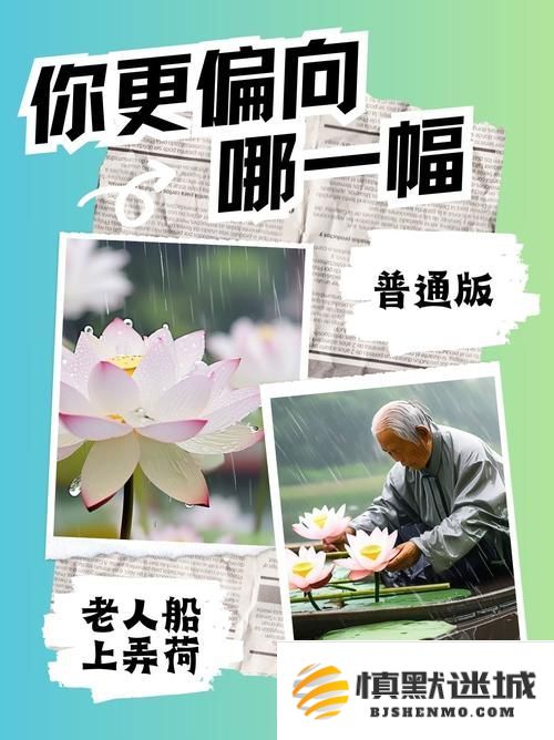 在宁静岁月中老人与雨荷的悠然相伴：感受荷花绽放的诗意韵味
