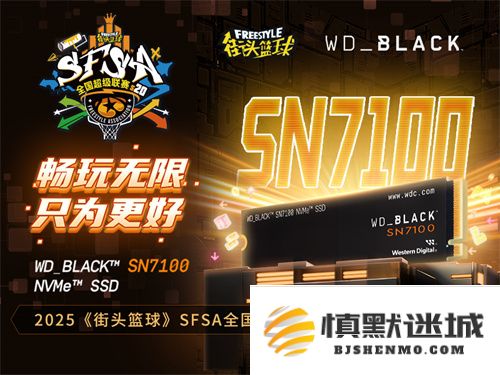 畅享无尽乐趣 WD_BLACK全力支持《街头篮球》SFSA全国超级联赛盛况