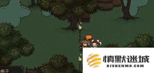 大江湖之苍龙与白鸟怎么洗点