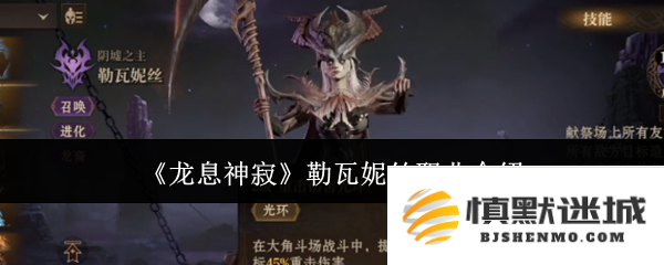 《龙息神寂》中的勒瓦妮丝职业特点详解与发展前景分析