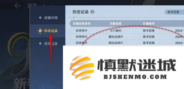 航海王壮志雄心招募历史记录在哪看