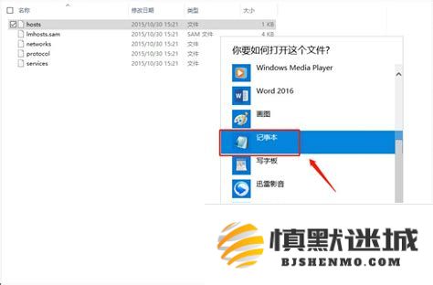 详尽解析苹果设备降级过程中遇到的3194错误的解决方法与步骤