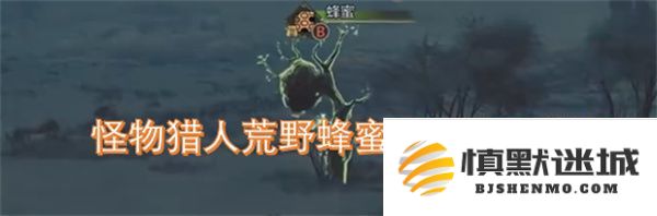 怪物猎人荒野提升蜂蜜采集效率的实用速刷技巧分享