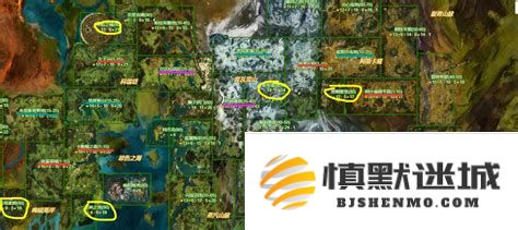 激战2新手入门指南：前期提升级别的策略与实用经验分享