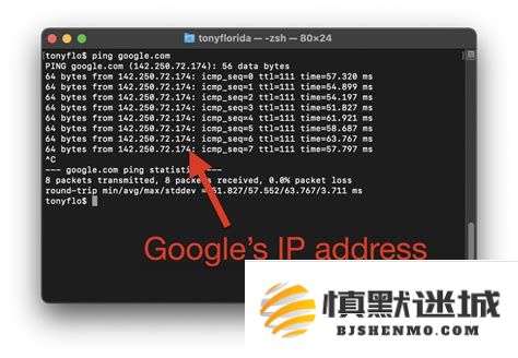 电脑使用cmd命令实现网络检测的详细方法与ping命令彻底解析大全