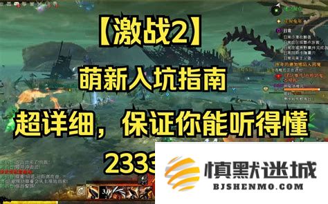 《激战2》萌新玩家入门指南及角色全面解析策略大全