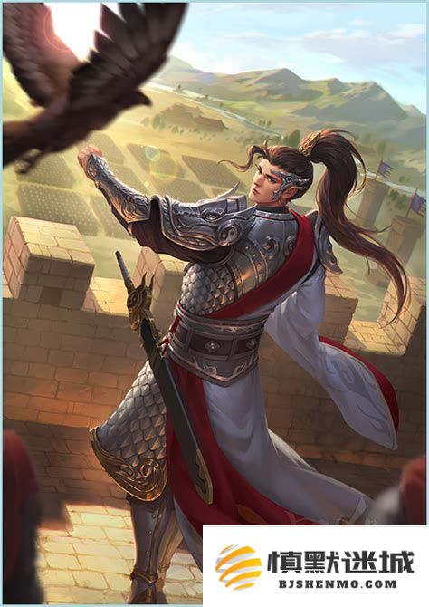三国杀手游中姜维的角色深度分析及其在游戏中的实用价值探讨