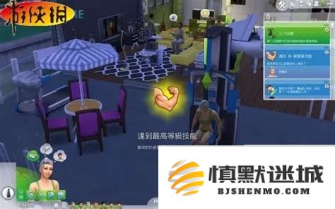 模拟人生3全技能快速提升秘籍，助你轻松打造完美角色能力