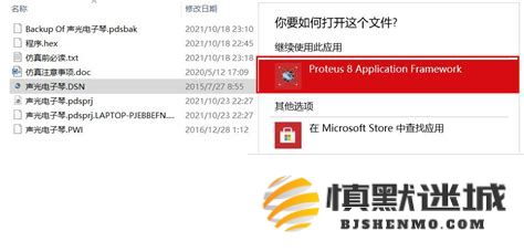 如何打开和查看pdsbak文件，了解其格式和使用方法