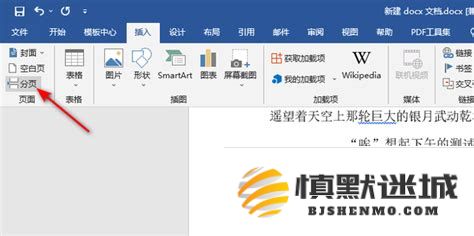 详细解析如何在Word文档中从任意指定页面开始设置页码和页眉的方法