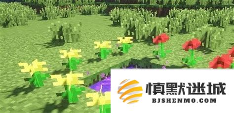 在我的世界中如何制作暮色森林的传送门以及使用技巧详解