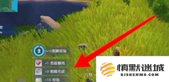 悠星大陆魔物怎么剥解