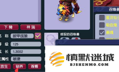 梦幻西游坐骑怎么快速升级