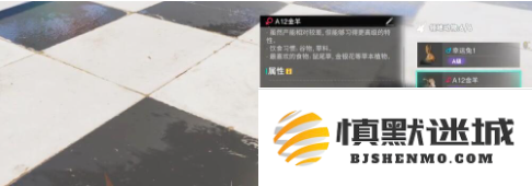 七日世界养殖词条怎么选