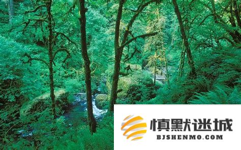 暮光之城秘境探寻：一场全景式的自然风光之旅攻略