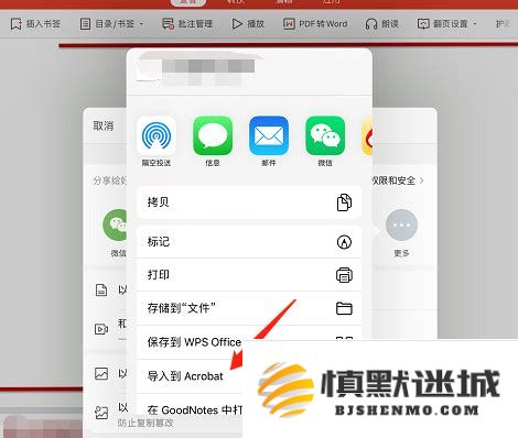 在iPad上使用WPS轻松清除无效空白页面与页码的详细指南