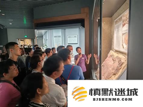 探索梦幻山西博物院的魅力：享受山西博物院的免费讲解体验