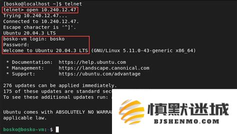 关于linuxtelnet命令及其相关端口配置的详细解析与应用实例