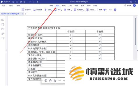 如何将PDF文件中的表格轻松转换为Word格式表格的详细步骤与技巧