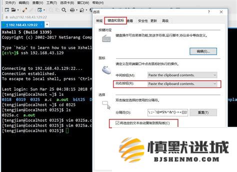 为什么在Linux环境中安装Xshell是提高远程连接效率的关键所在