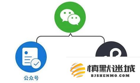在公众号和小程序之间如何选择更适合的开发方式和平台