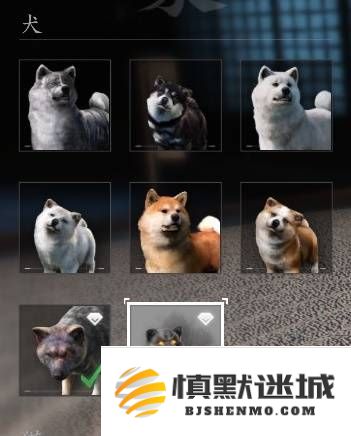 刺客信条影中如何获取全种类宠物的详细方法与步骤指南