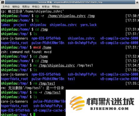 linux系统中如何列出所有以字母s开头的可用命令以及查看所有用户进程的命令方法