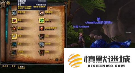 魔兽世界灵魂兽捕捉技巧详解及实用脚本分享指南