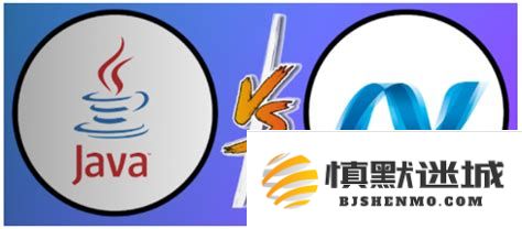 .net开发与Java开发之间的主要差异是什么？两者可以相互转换吗？