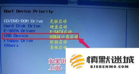 如何在BIOS中设置USB启动项_详细步骤指导与BootUSB启动配置介绍