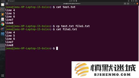 深入了解Linux中的cp命令，掌握复制文件和目录的技巧