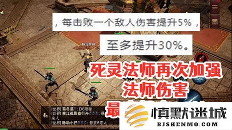 暗黑破坏神3死灵法师宠物类型与伤害解析，探讨最优召唤策略