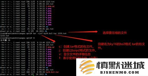 精通Linux命令行：快速访问特定目录的有效方法与技巧