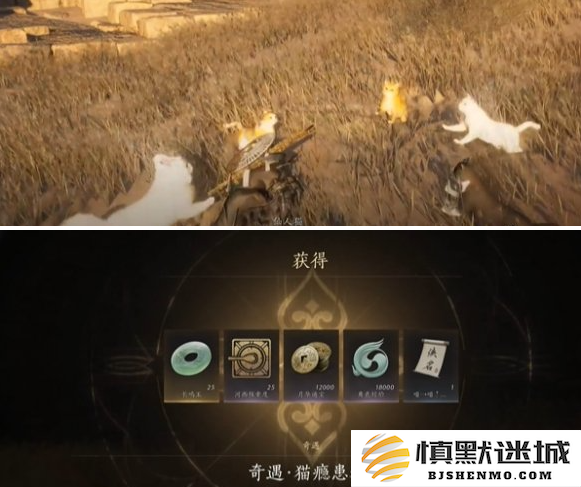 燕云十六声猫瘾患者奇遇怎么做