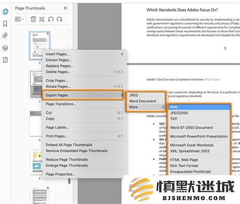 如何在Adobe PDF文档中轻松添加页码以提升阅读体验