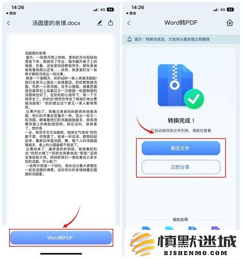 如何在将Word文档转换为PDF时设置文件大小以适应需求