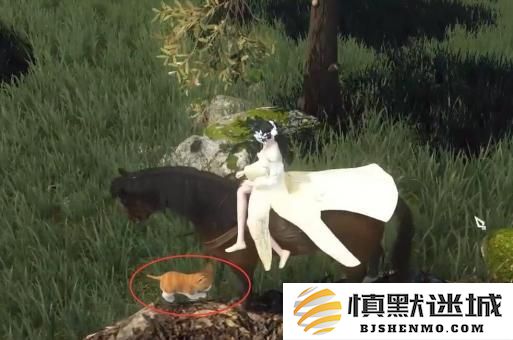 逆水寒手游捉猫记奇遇怎么过