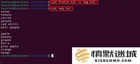 在Linux操作系统中开放22端口的方法和步骤详解指导