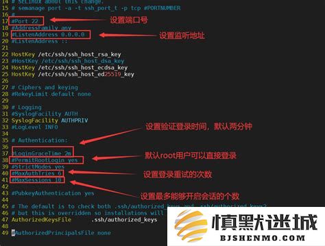 如何在Linux系统中配置SSH服务以及设置SSH登录的详细步骤