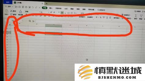 如何在WPS表格中实现自动排序功能以快速生成排名次
