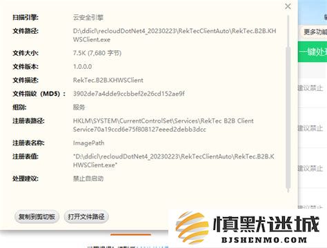 提议禁止在开机时自动启动的应用程序，如何有效处理这些自动运行的程序
