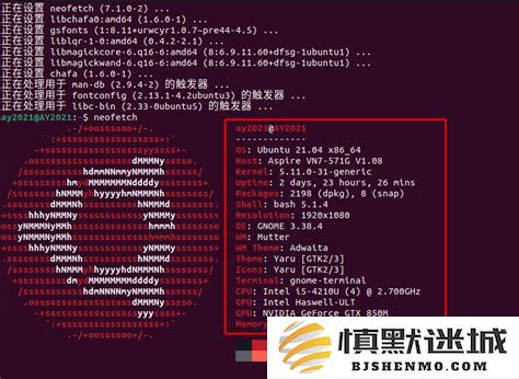 深入探讨Linux系统版本查看方法与常用命令位置解析