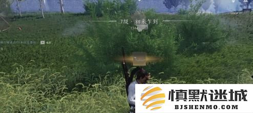 燕云十六声醒愁玉桂枝怎么获得