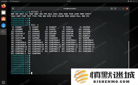 Linux中使用killall命令终止指定进程的详细指南