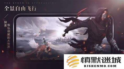 在新神魔大陆中，哪个职业的输出伤害能够达到最高水平？
